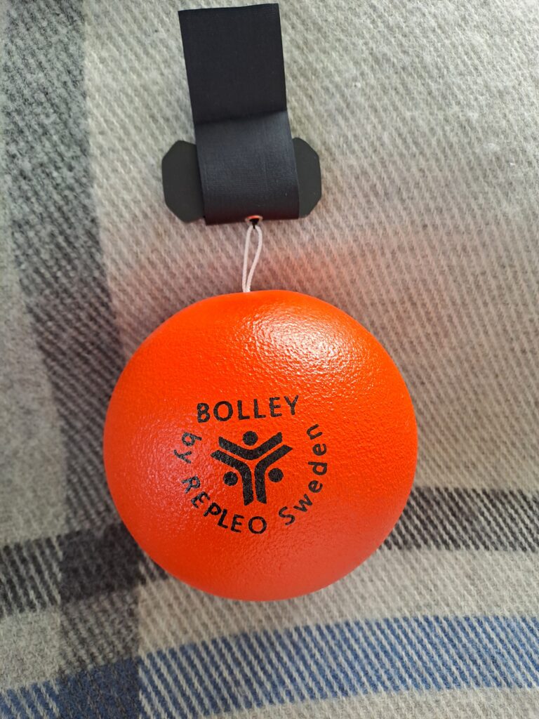 Bolley